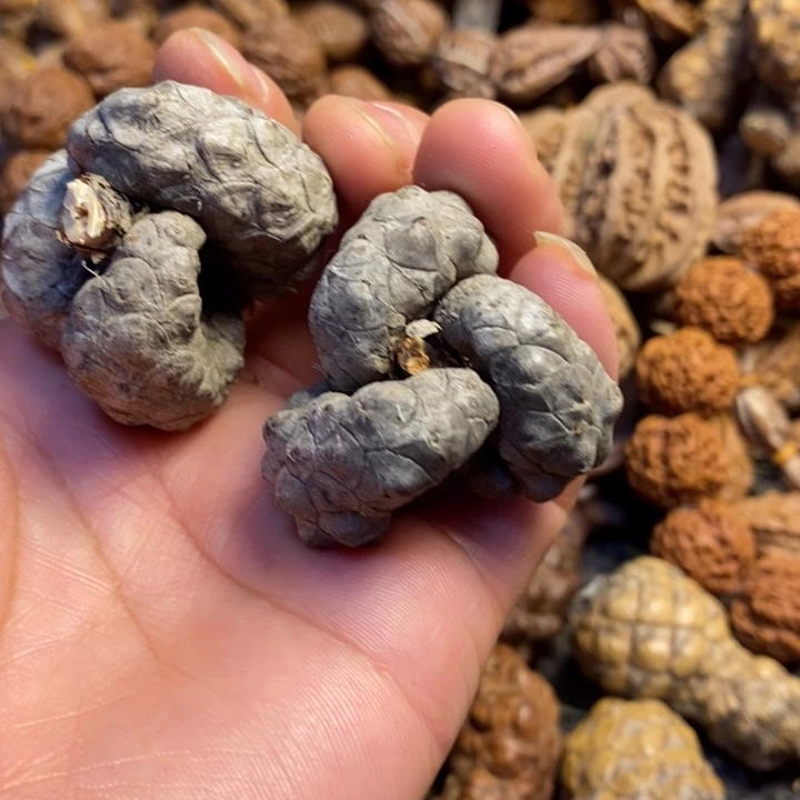 吊坠桃核东北东北特产101