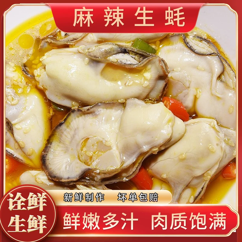开罐即食生蚝肉麻辣蒜蓉小海鲜下酒菜美味海鲜香辣下饭菜鲜活现剥