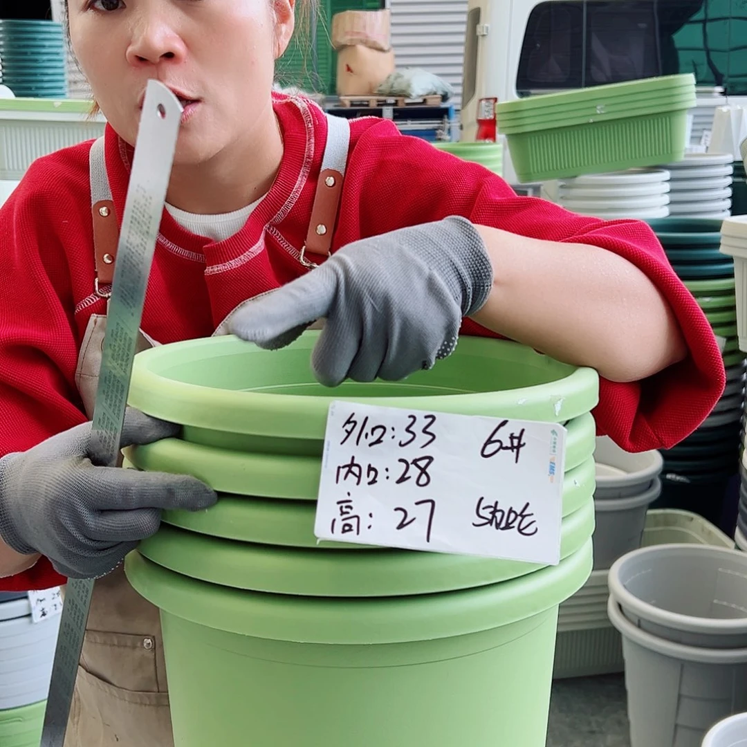 四季盆6#果绿色5个无托