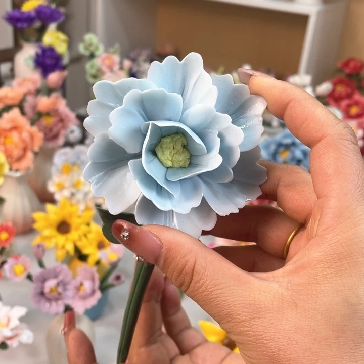 瓷片80889996999999665666669966