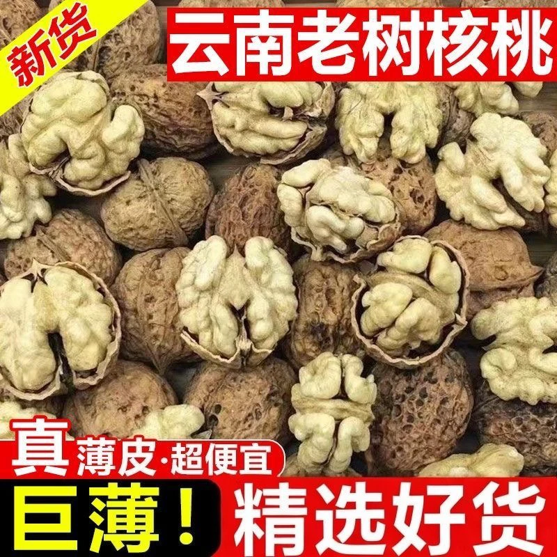 云南老树薄皮原味无漂白核桃新货营养美味适合孕妇薄皮核桃正宗