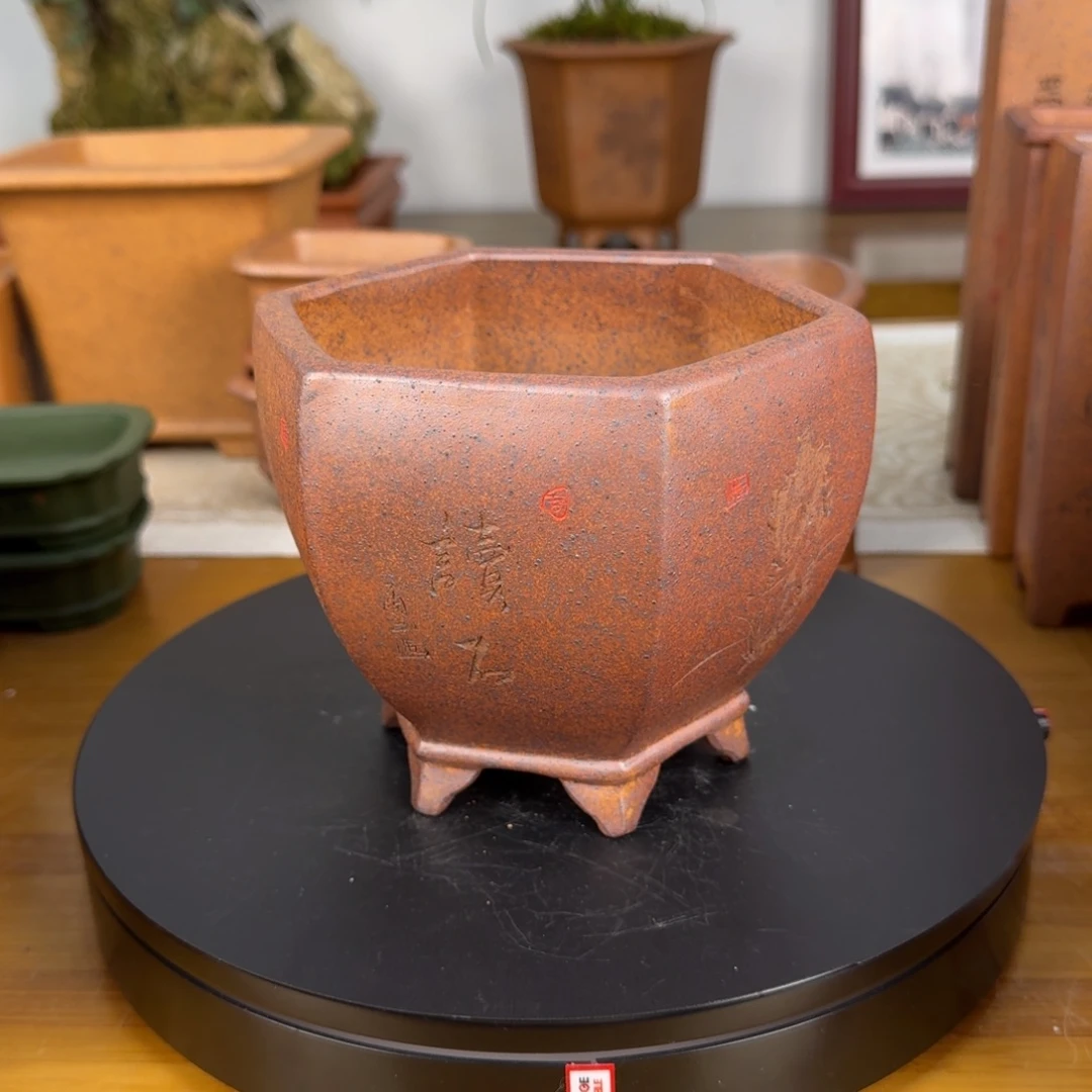 紫砂花盆不**华紫砂花盆