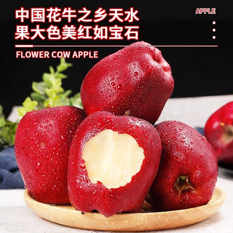 甘肃天水花牛苹果脆粉两吃当季新鲜脆甜多汁果型爆满产地包邮