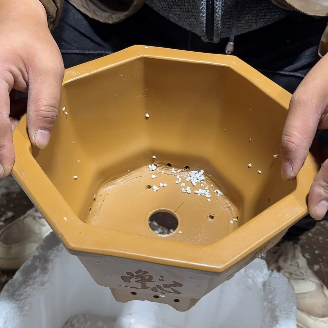 紫砂花盆口径27 23高度16