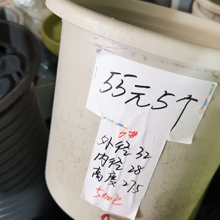 四季6号新灰白无托7个特价微瑕