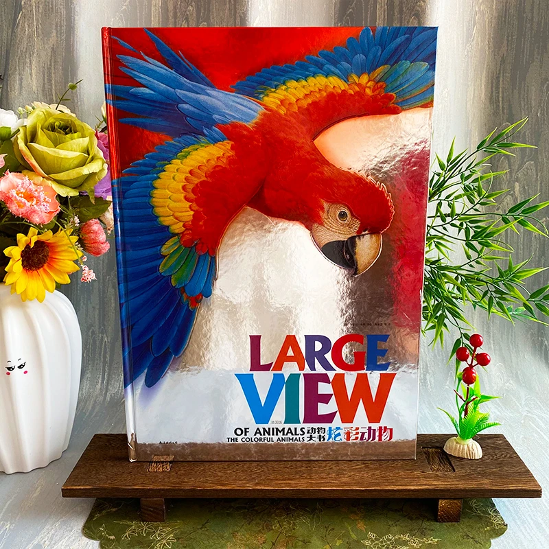 炫彩地板大0到3岁幼儿启蒙早教书儿童书启蒙书宝宝3-6岁绘本0-3岁