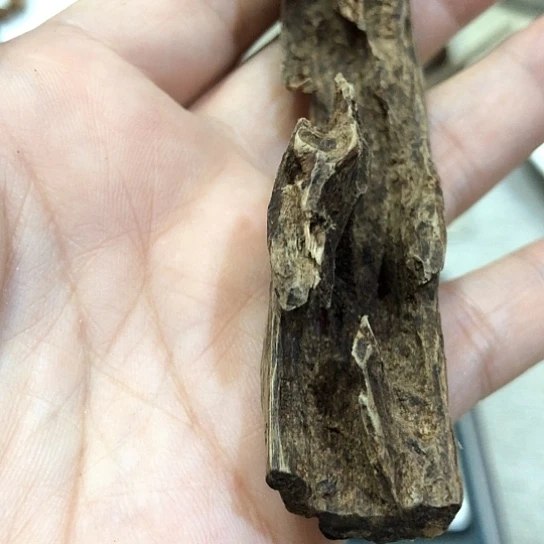 沉香吊坠猪*皮沉香吊坠