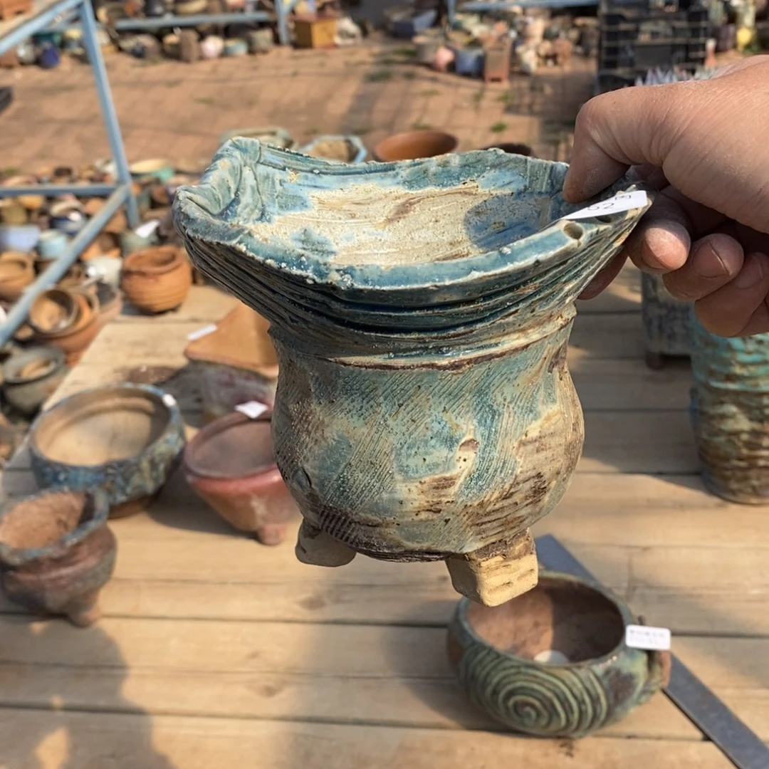 腰*b52号多肉盆一个呀