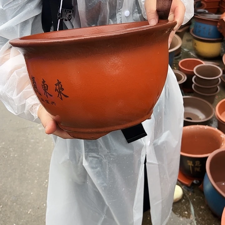 30紫气东来花盆花盆