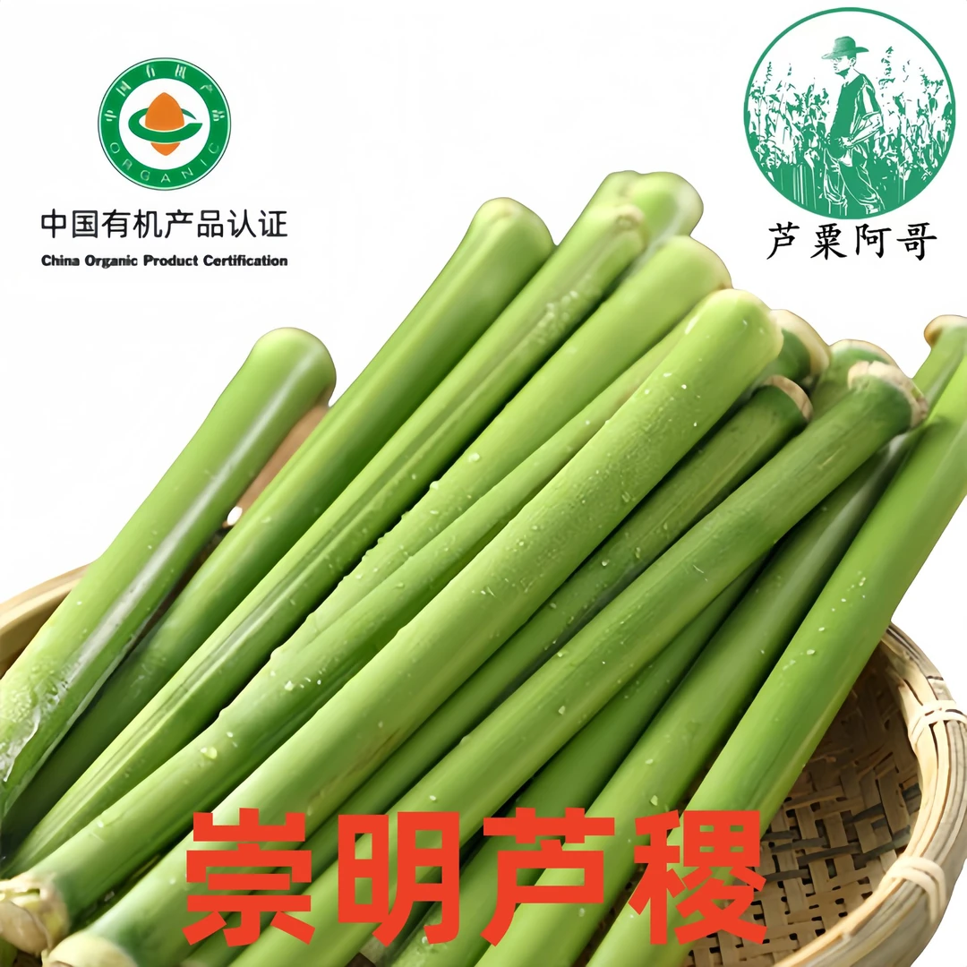 芦粟阿哥崇明甜芦粟有机种植芦稷甜杆甜高梁5斤江浙沪皖顺丰包邮