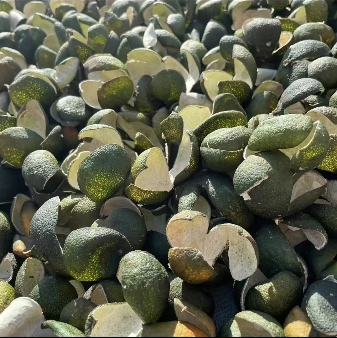 三花青 2024年【杰选陈皮】东甲 青皮 简装 250g 拍一发六