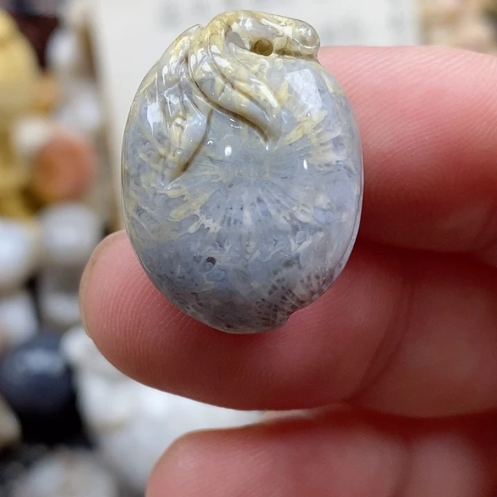 颈饰未镶嵌硅化珊瑚（珊瑚玉）小