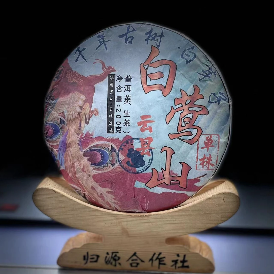 【村长】577号 李成军2021年云县【白莺山白芽子】单株200g饼茶#2.14#