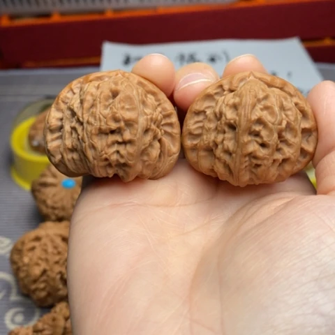 把件文玩核桃40白狮子毕业对