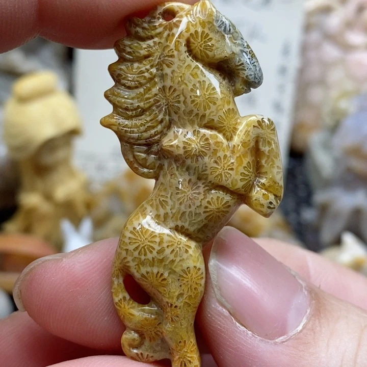 颈饰未镶嵌硅化珊瑚（珊瑚玉）有瑕