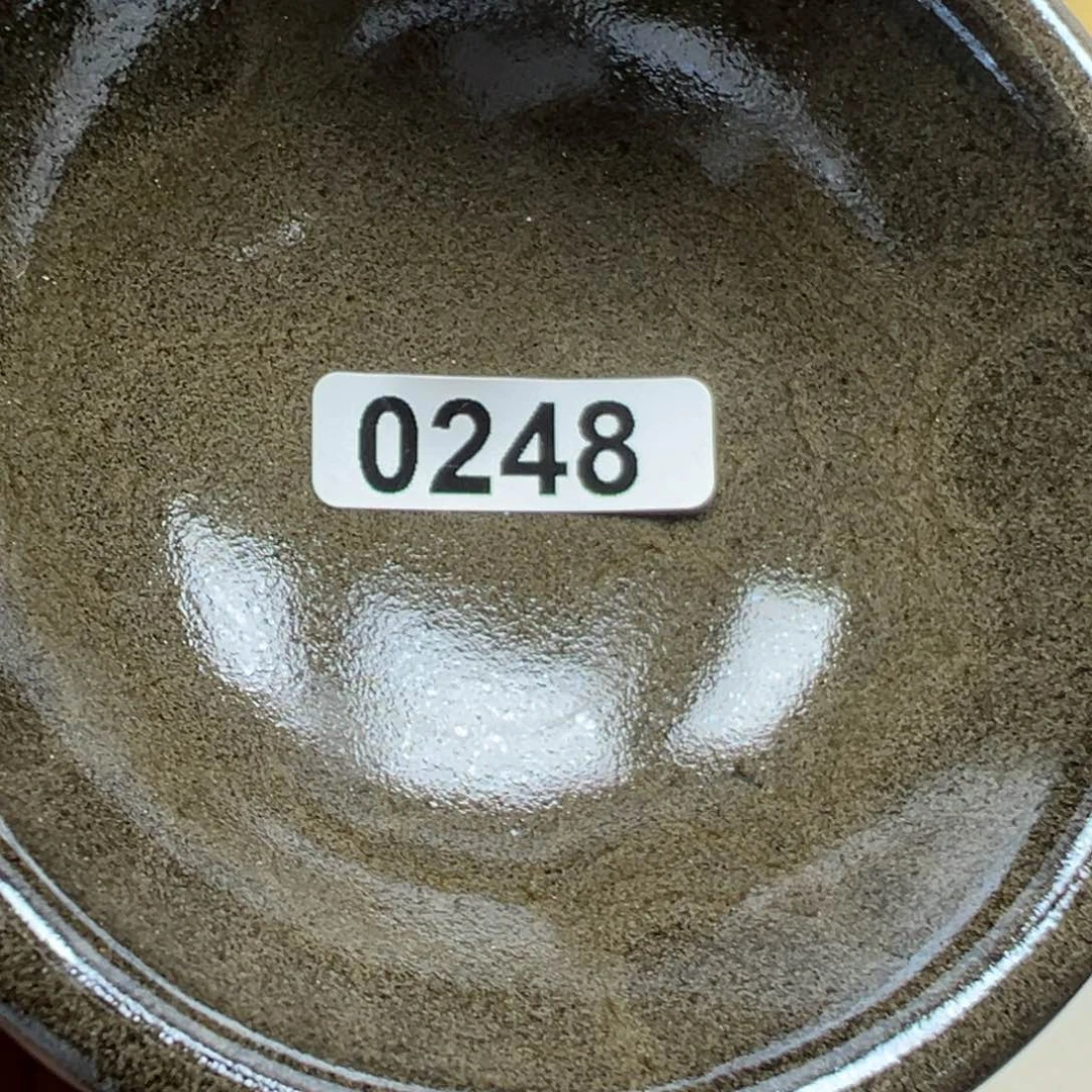 茶盏叔**～你认识南墙吗？我撞过很多次了