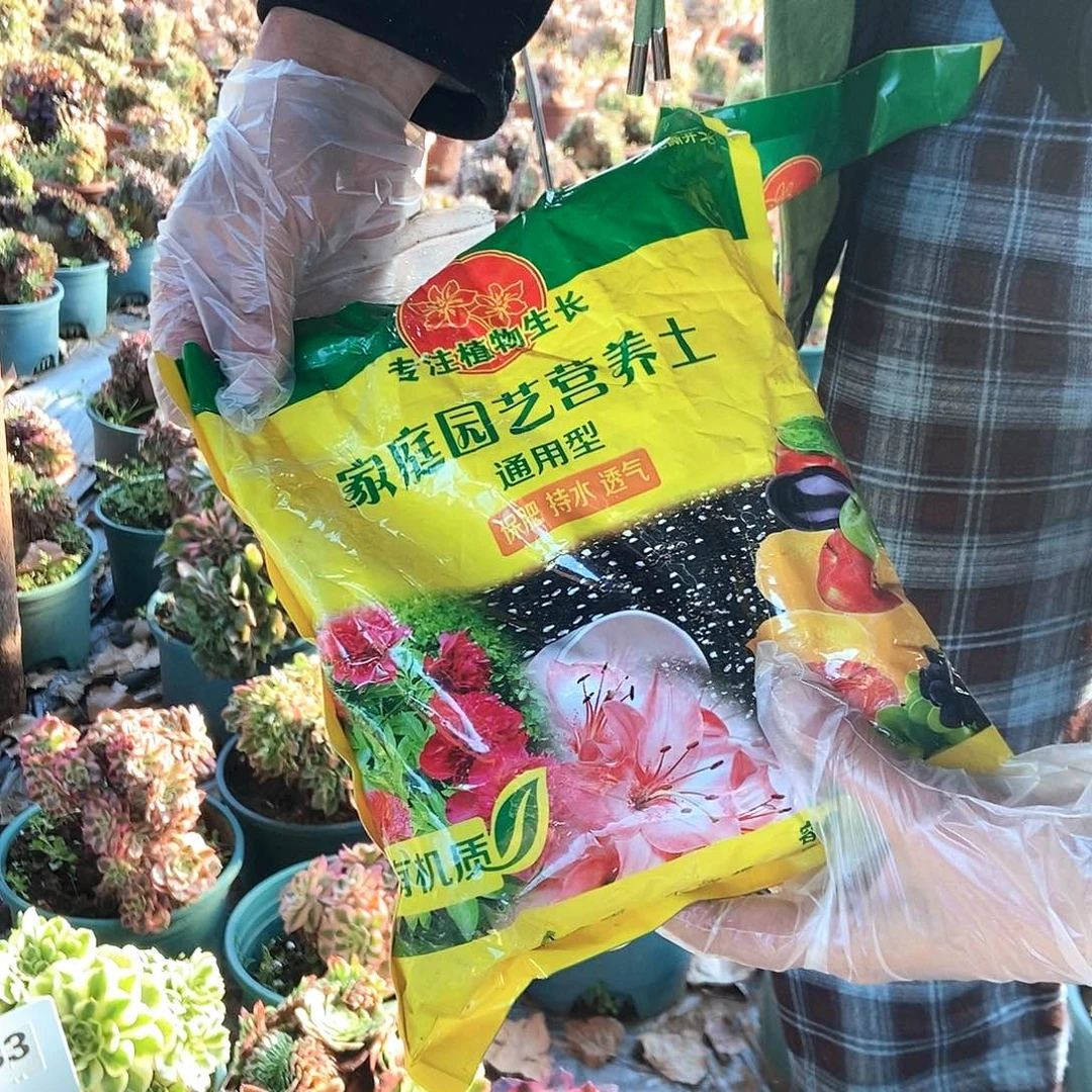 完全开放养护套装