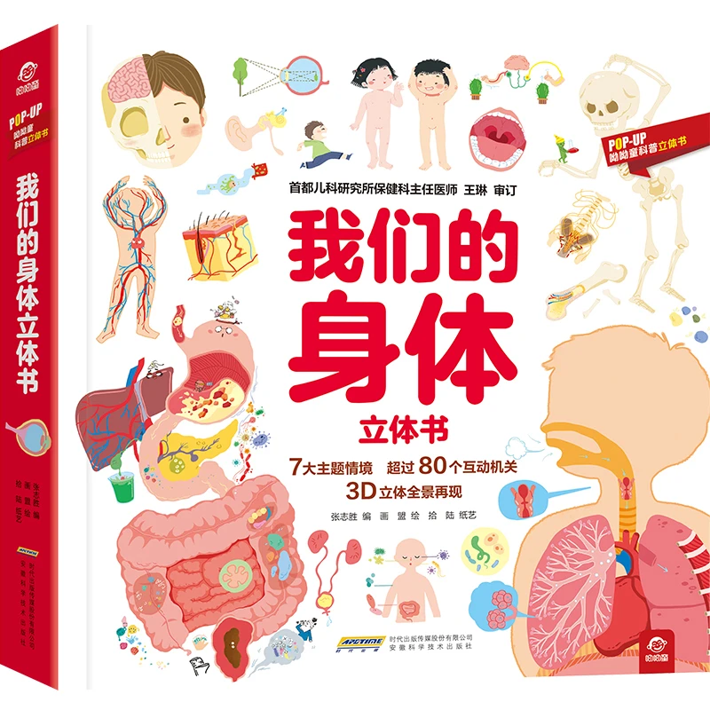 【POP-UP科普立体书】我们的身体立体书安徽科学技术出版社
