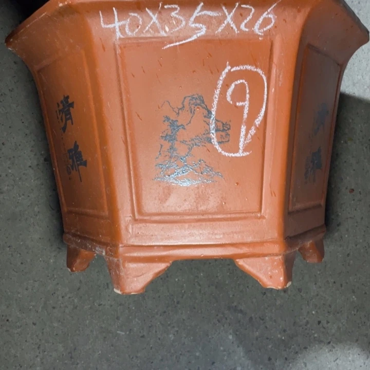 周深周深周深周深走