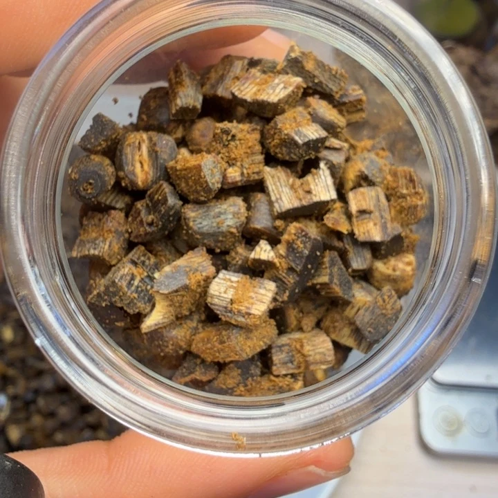 沉香精油沉香青*海南糖结沉水车珠料5克