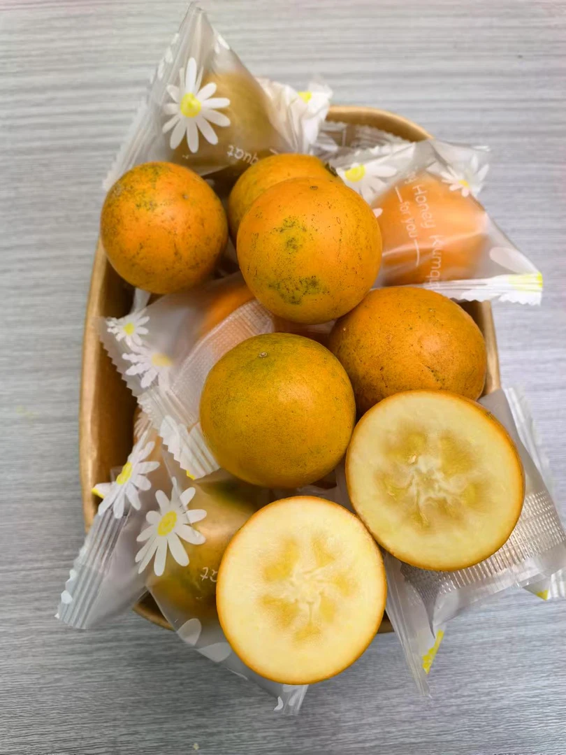 脆蜜金柑一盒（约500g）