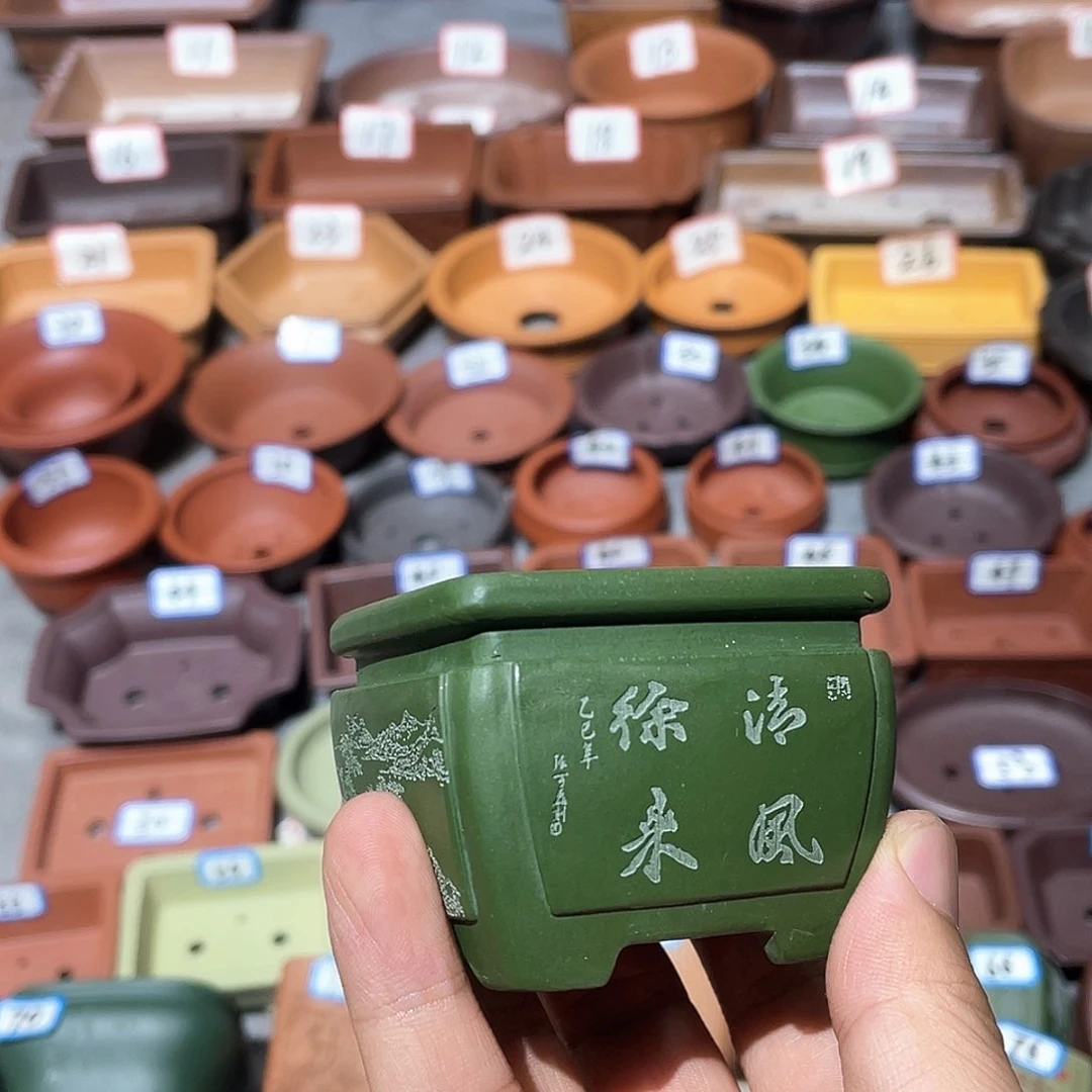 紫砂小盆5*4cmmmmm