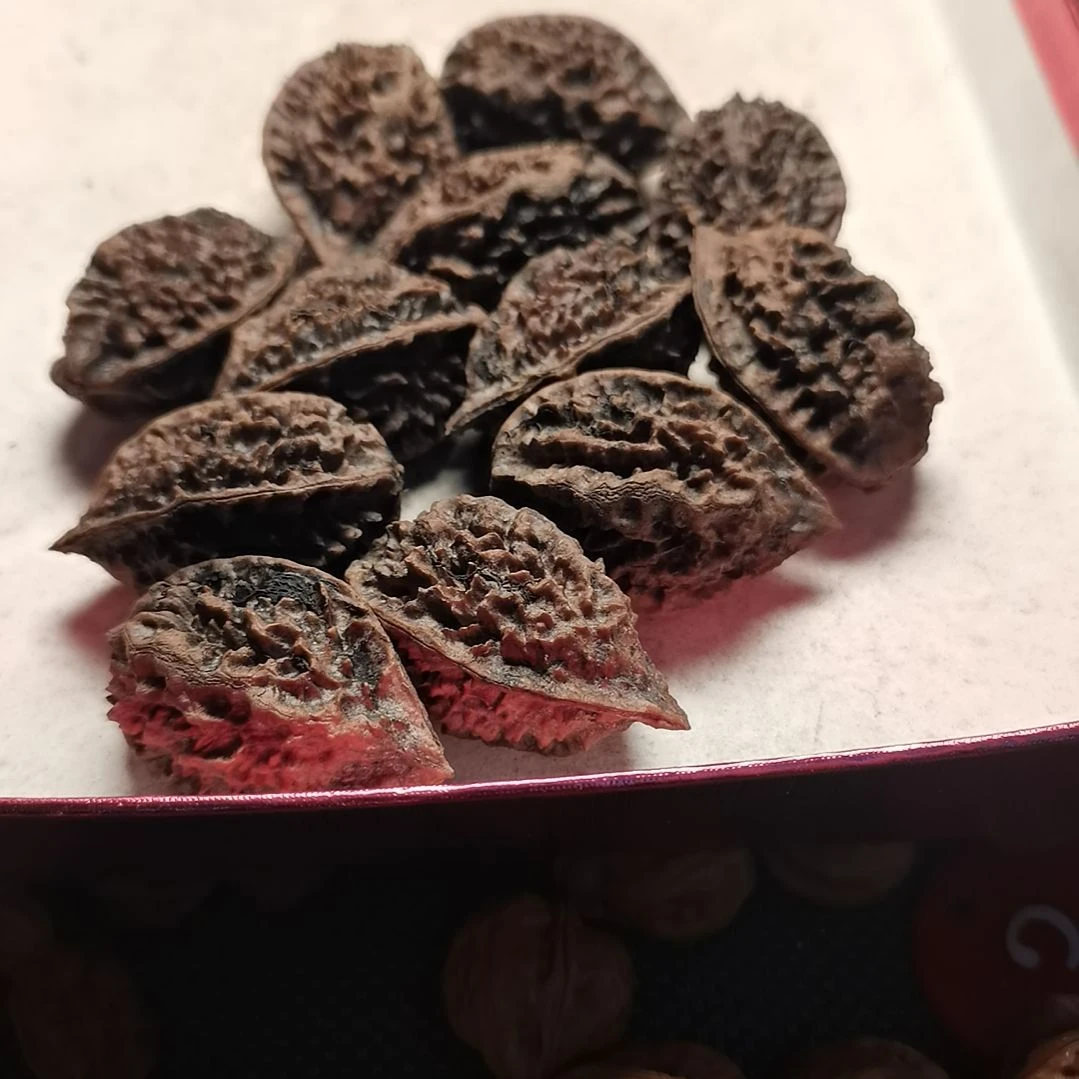 文玩核桃手串强*东北秋子异型籽12颗23