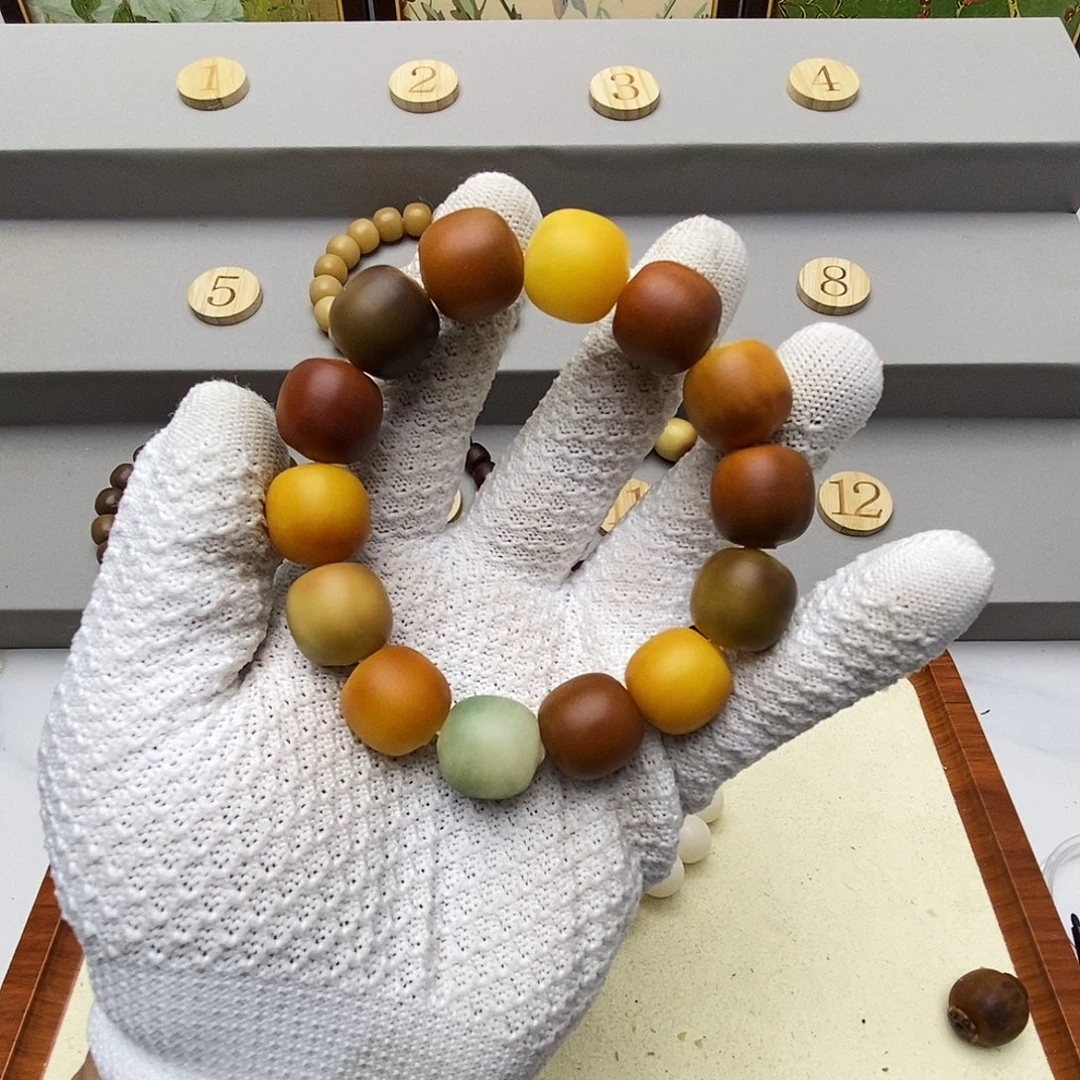 蓝***天菩提根/象牙果吊坠