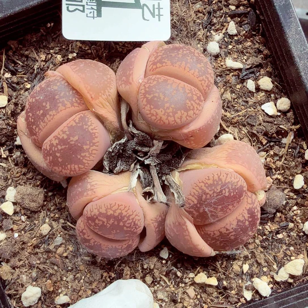 我就觉得这个电影是挺值得511