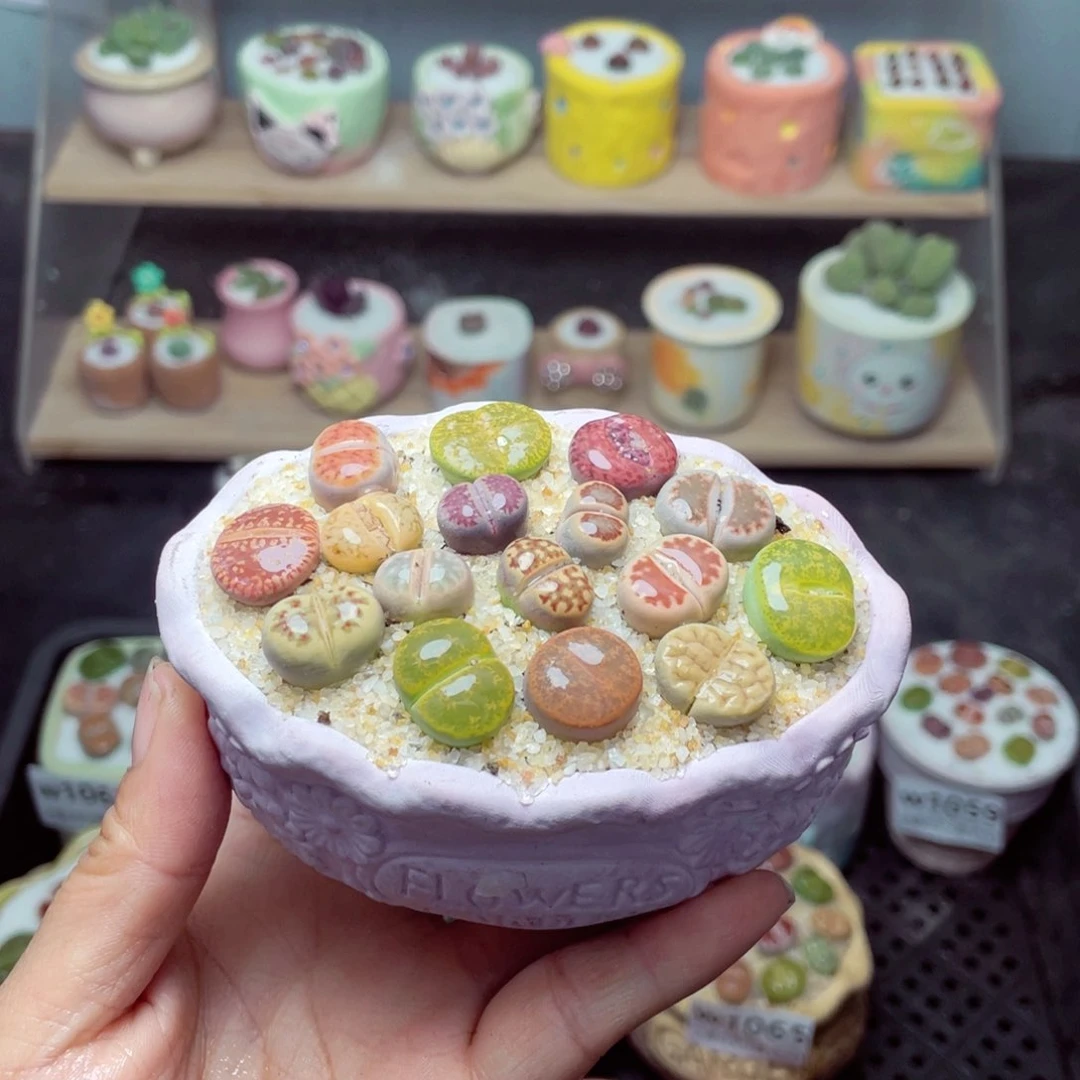 w1069 带盆土发货-零下地区拍保温箱