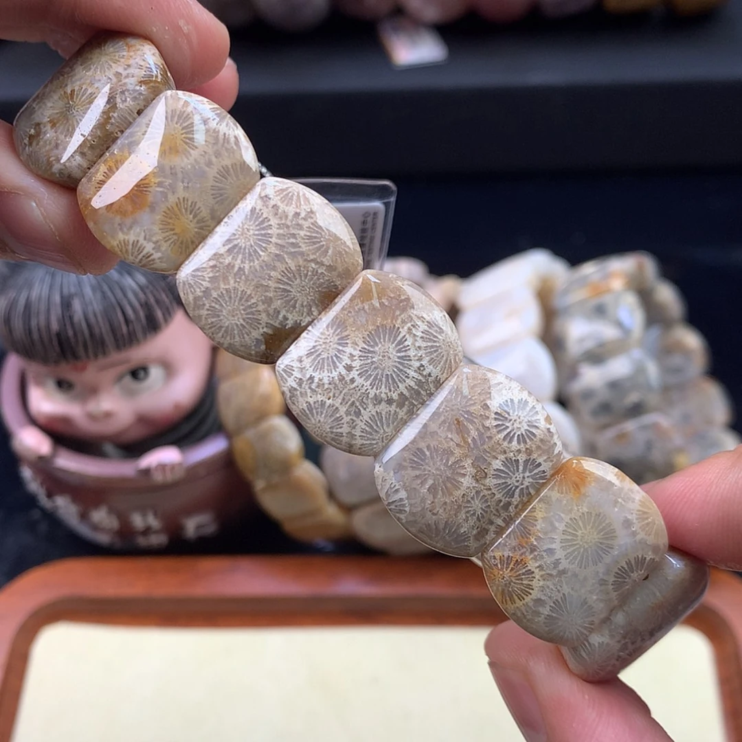 【闪购商品】颈饰未镶嵌硅化珊瑚（珊瑚玉）17号灰蓝大花花