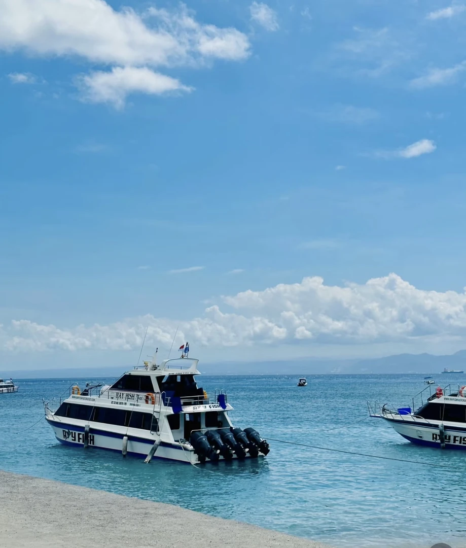 沉香JLG-10-400 白圆单1.4