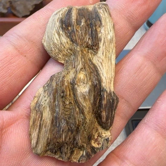 沉香摆件惠东野生虎斑2.8克