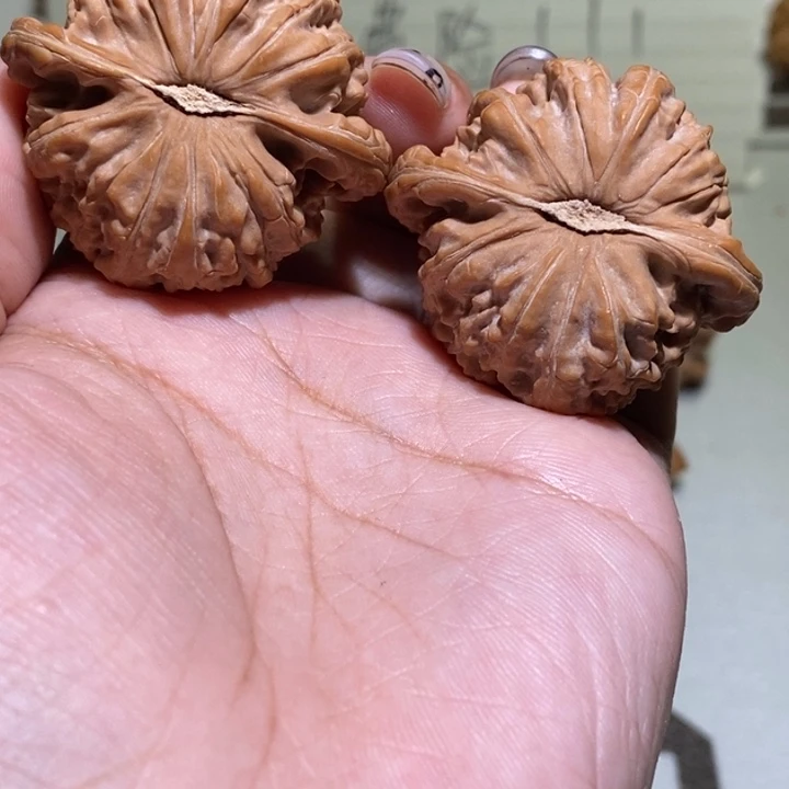 数***隶手串/手链核桃白狮子