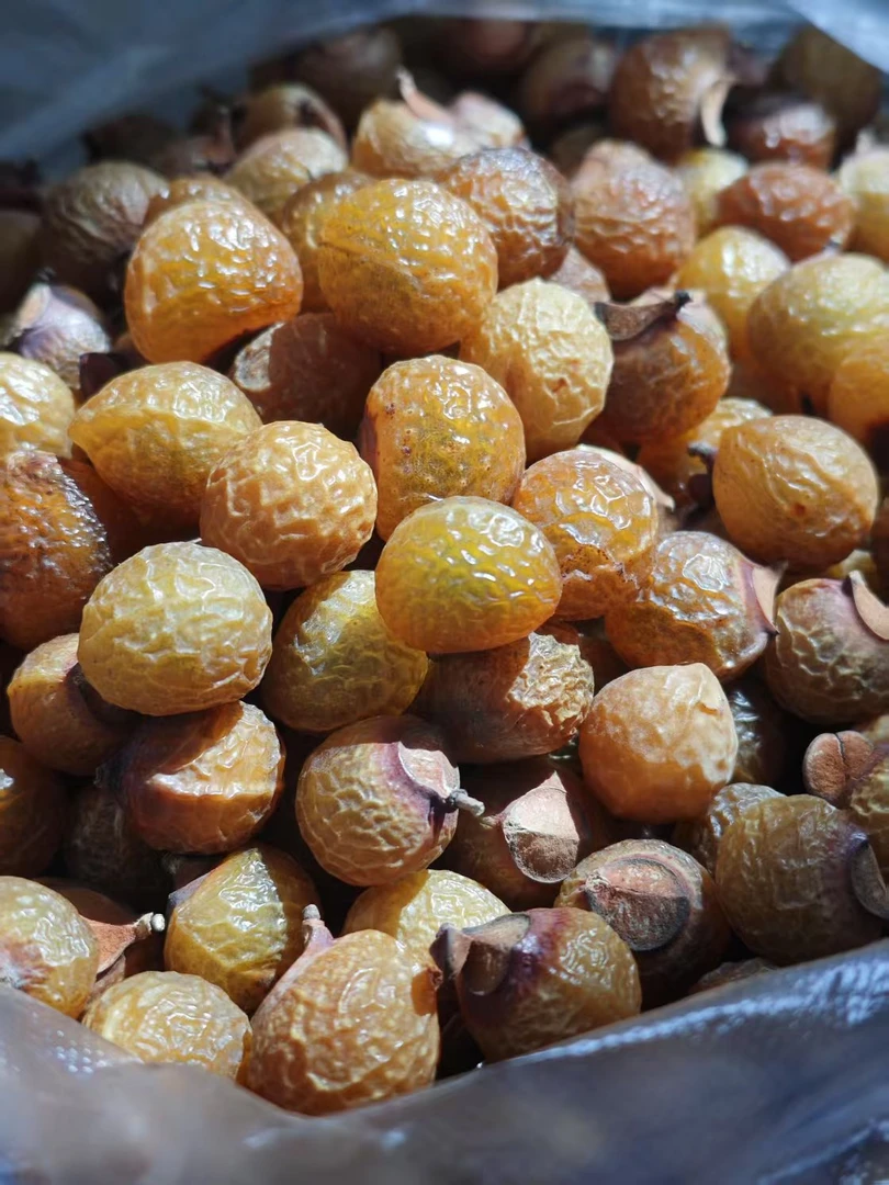 无品牌新货无患子天然清洁原果