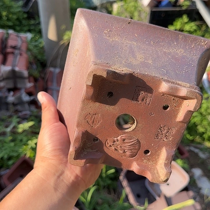 一次偶然间被他吸引的