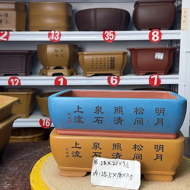 花盆紫砂你在一起