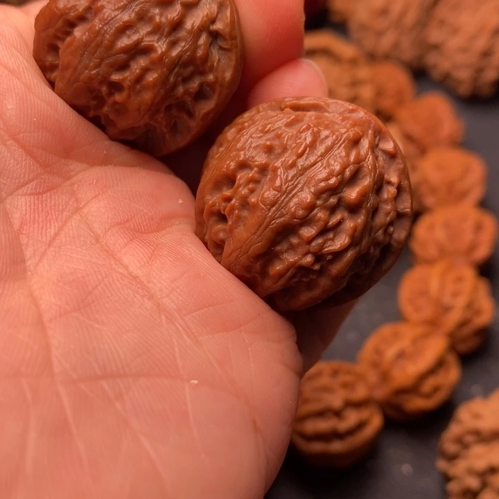 秦岭野生文玩核桃