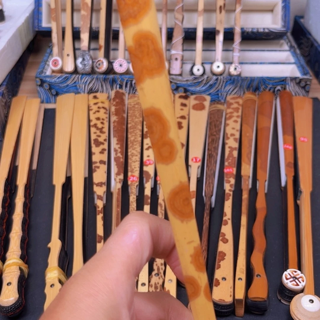 扇子威***鱼在这样一个样？在