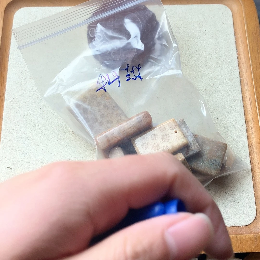 硅化珊瑚（珊瑚玉）颈饰未镶嵌科*娜
