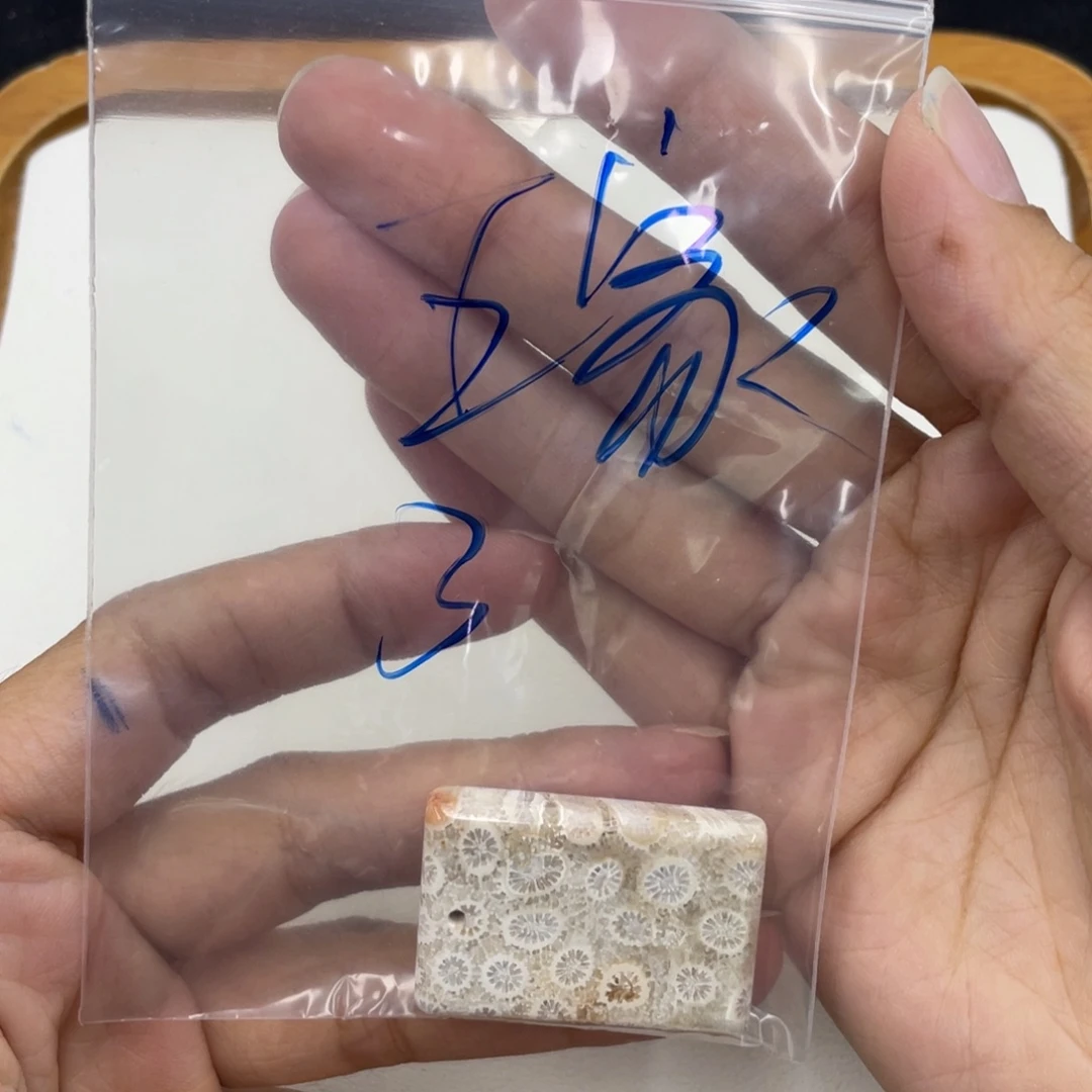 硅化珊瑚（珊瑚玉）合金颈饰王**叔