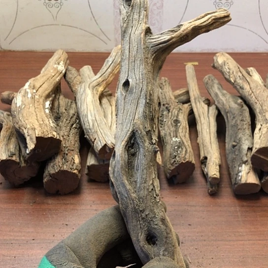 大果紫檀（缅甸花梨）杰**少