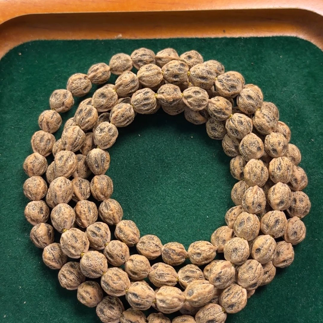 肚***兔手串柏香籽/百香籽