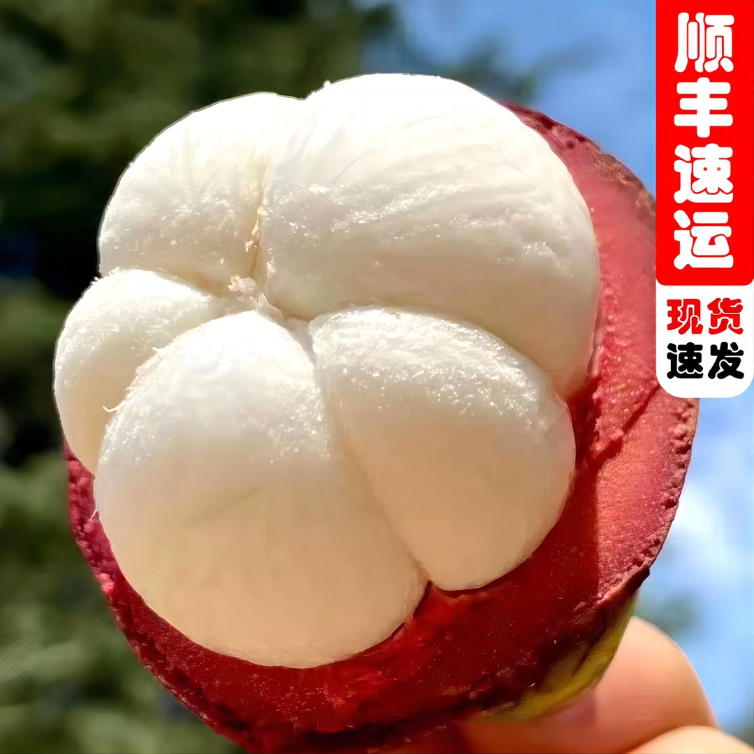 【顺丰包邮】泰国进口优选新鲜老树麻竹清甜爽口饱满多汁