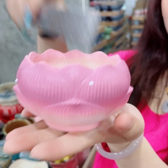 花盆凑单福利满10元发货！