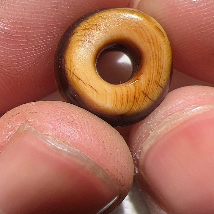 香榧木在这里的时候