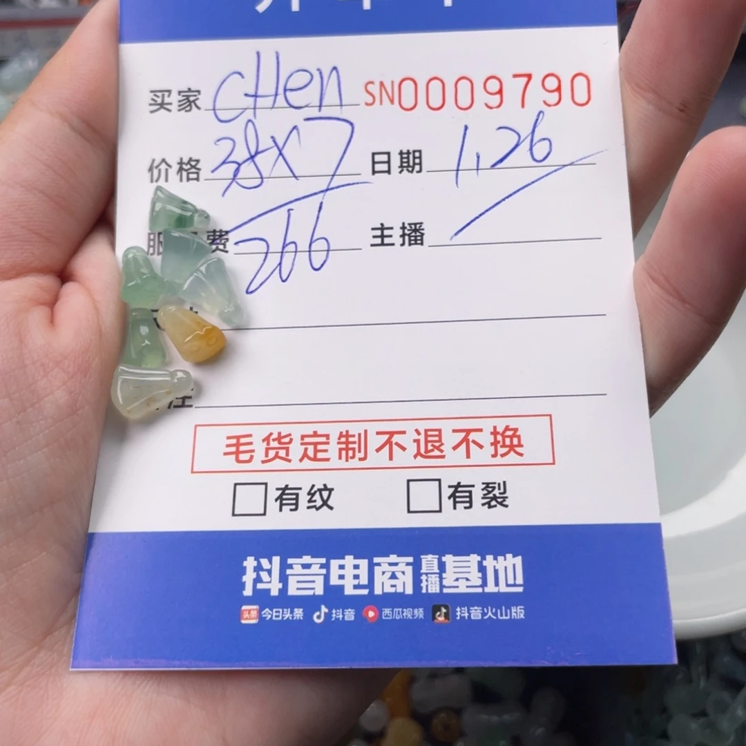 翡翠颈饰未镶嵌C****n9790