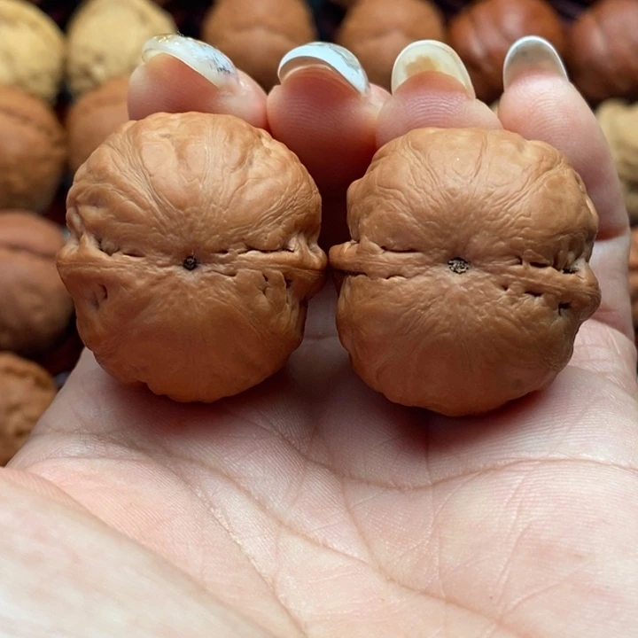 核桃精品文玩核桃手捻河豚