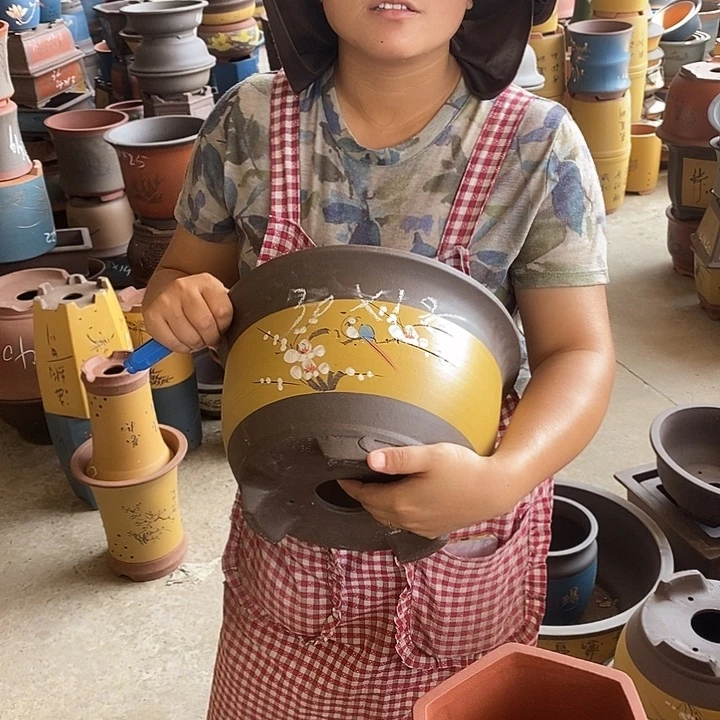 紫砂花盆盆栽植物花卉苗木种植