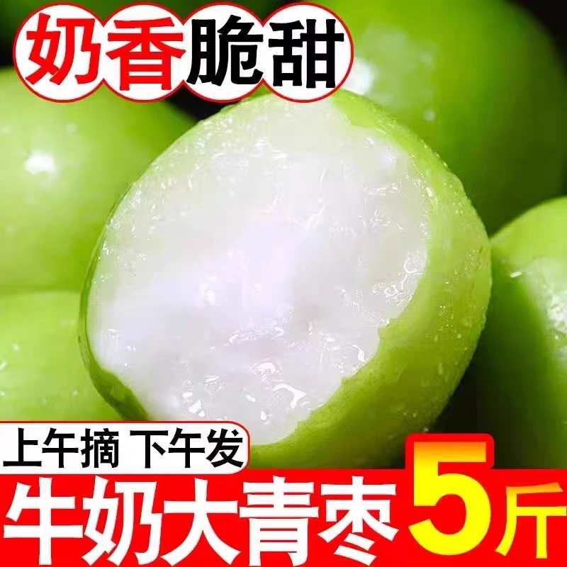 福建牛奶贵妃枣新鲜当季水果青枣脆多汁现摘现发